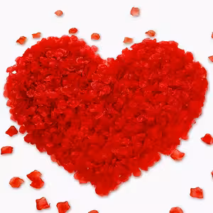 Pétalos de Rosas Rojas Artificiales – 500 Piezas para Decoración Romántica, Bodas y Día de San Valentín